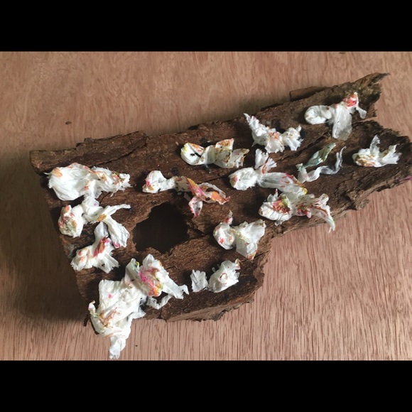 Wood art - Picture 12 of 15